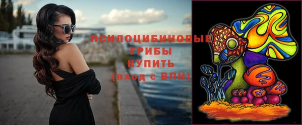 ПСИЛОЦИБИНОВЫЕ ГРИБЫ Тобольск