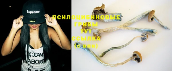 мдпв Тихвин
