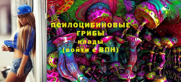 гашик Тихорецк
