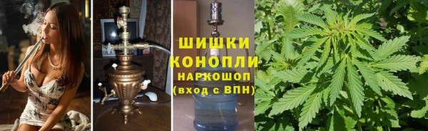 мдпв Тихвин